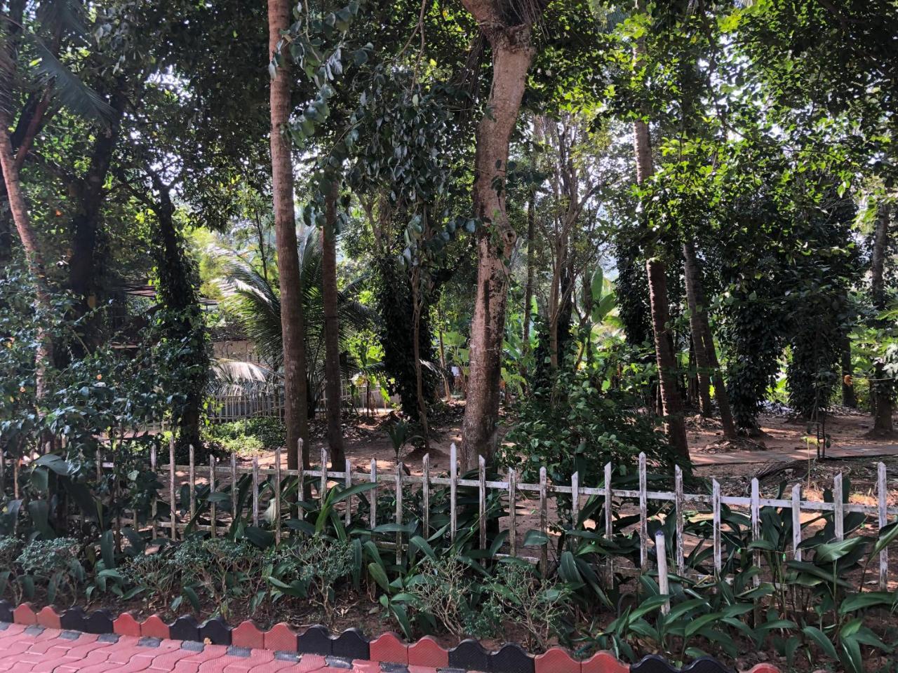 Ayuryogashram Heritage Thrissur Ngoại thất bức ảnh